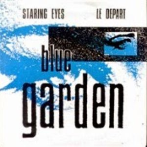 Staring Eyes