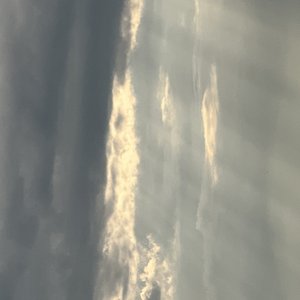 Avatar für Cloud Canopy