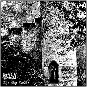 The Ivy Castle