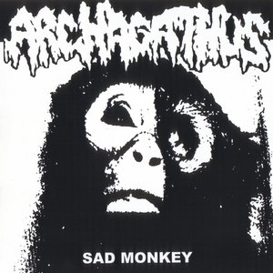 Sad Monkey