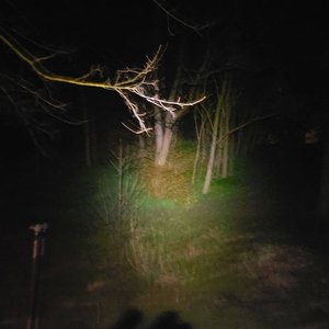 Noise