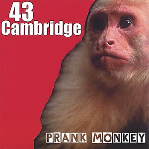 Prank Monkey