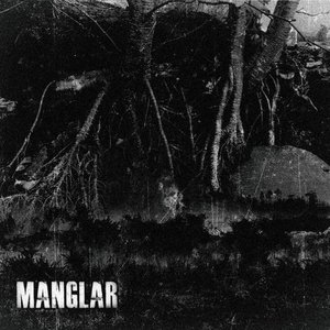 Manglar