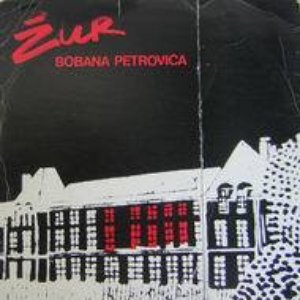 Boban Petrović 的头像