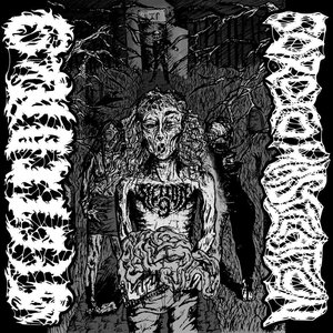 Sordid Mastication