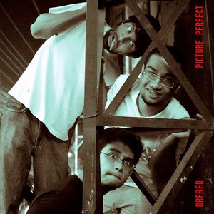 Picture Perfect - Single