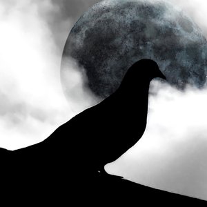 Bleu Moon 的头像