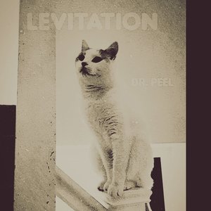 Levitation - Single