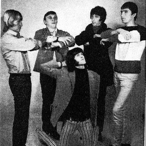 The Hound Dogs 的头像