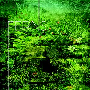 Ferns