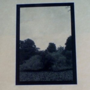 Birth to A Point it Comes