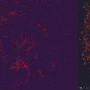 Dissolve