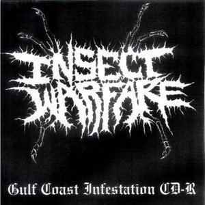 Gulf Coast Infestation