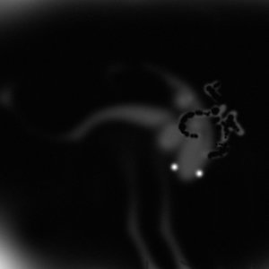 Lots of Sounds - Single