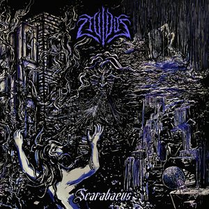 Scarabaeus