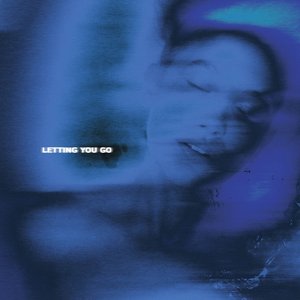 letting you go (demo)