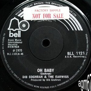 Dib Cochran & The Earwigs 的头像