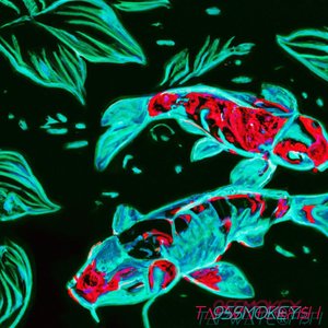 KOI POND