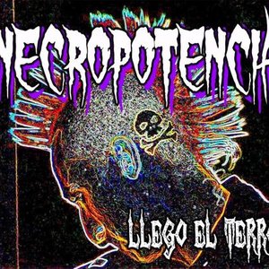 Necropotencia 的头像