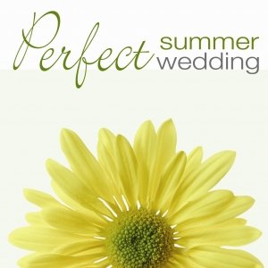 “The Perfect Summer Wedding”的封面