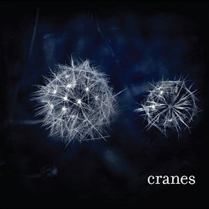 Image for 'Cranes'