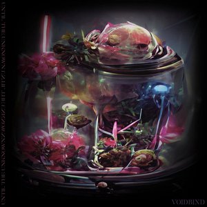 Voidbind