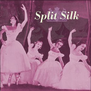 Split Silk