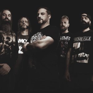 Legacy Of Brutality 的头像