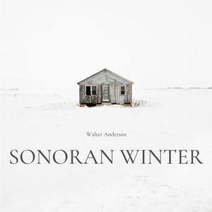 Sonoran Winter