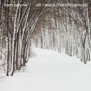 All I Want (For Christmas) - Single