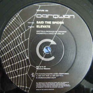 Said The Spider / Elevate