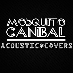 Image for 'Acoustic Covers'