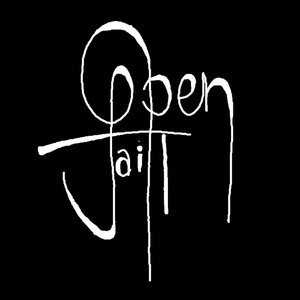 OpenJaill 的头像