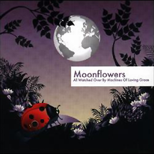All Watched Over by Machines of Loving Grace cover