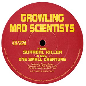 Surreal Killer / One Small Creature