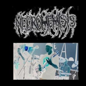 Necromemisis