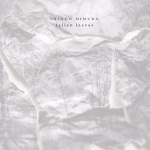 fallen leaves