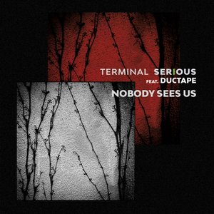 Nobody Sees Us (feat. Ductape) - Single