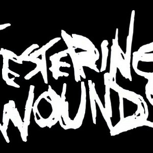 Avatar for Festering Wounds