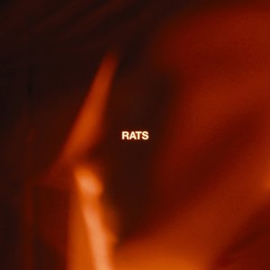 Rats