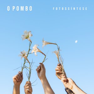 Fotossíntese (EP)