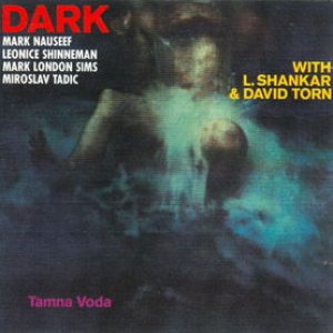 “Tamna voda”的封面