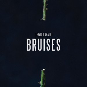 Bruises (Marvin Klein remix)