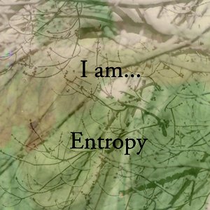 I Am... Entropy
