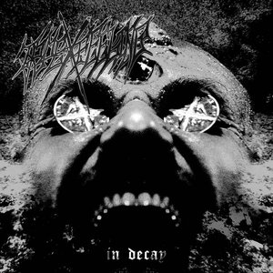 In Decay - Single