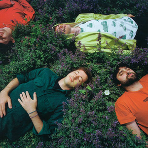 Animal Collective photo provided by Last.fm