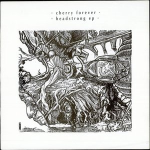 Cherry forever 的头像
