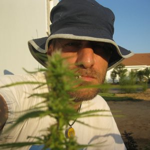 Avatar for כינורו של רוטשילד