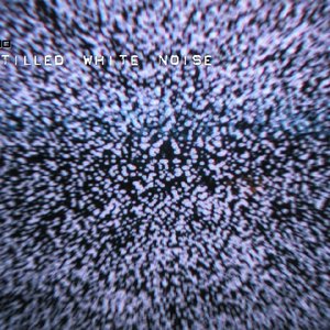 Distilled White Noise