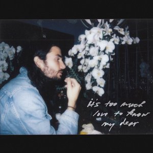 It's Too Much Love to Know My Dear - EP